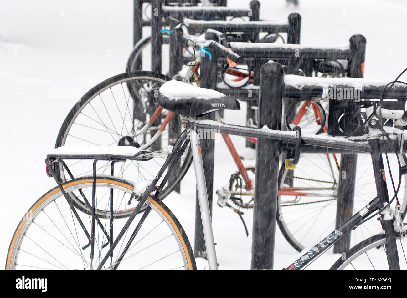 Boston back bay bicycles hi-res stock photography and images - Alamy