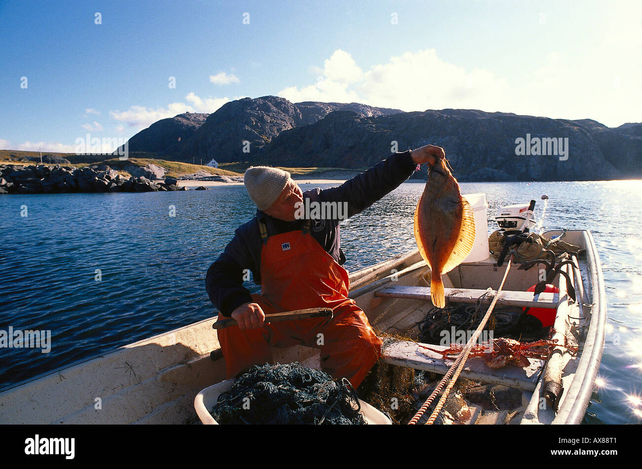 Fisherman with plaice in a boat, Jakobselv, Varangerfjord, Finnmark, Norway, Europe Stock Photo