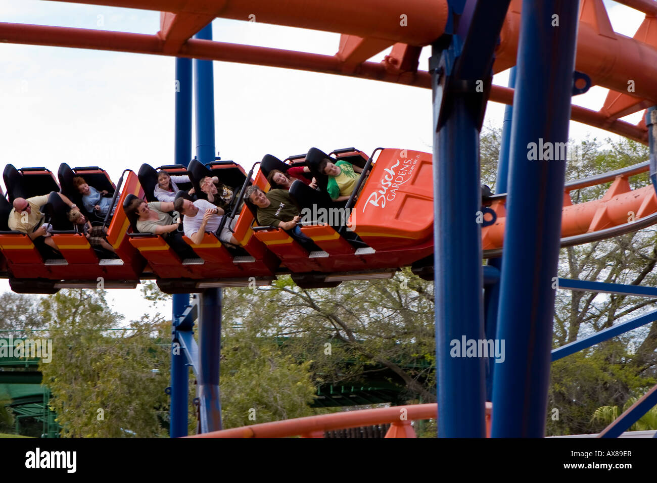 Scorpion Roller Coaster At Busch Gardens Tampa Florida Usa Fl U S
