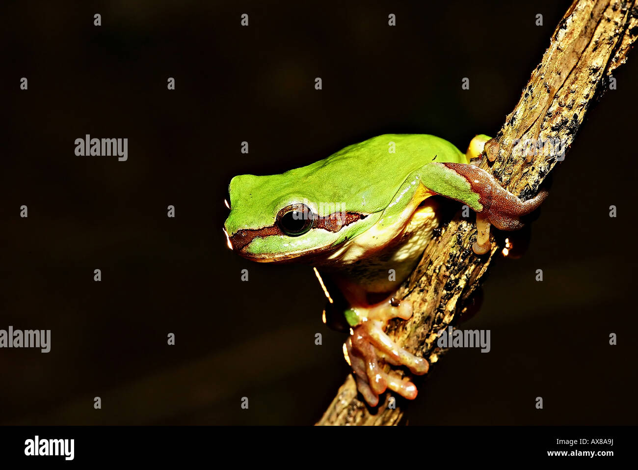 Natural_scenery hi-res stock photography and images - Alamy