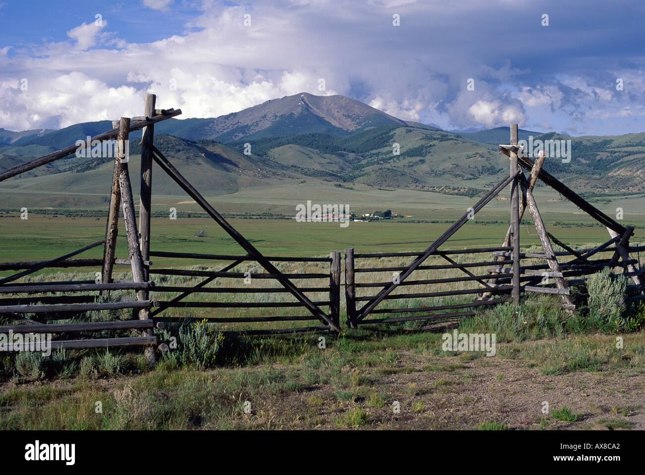 Creek Valley Montana USA Stock Photo Alamy