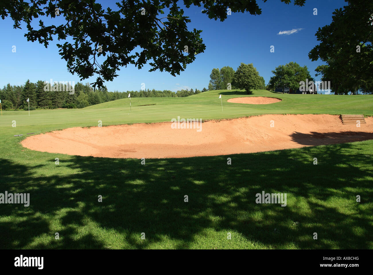 golf course green and sand trap hazard Stock Photo