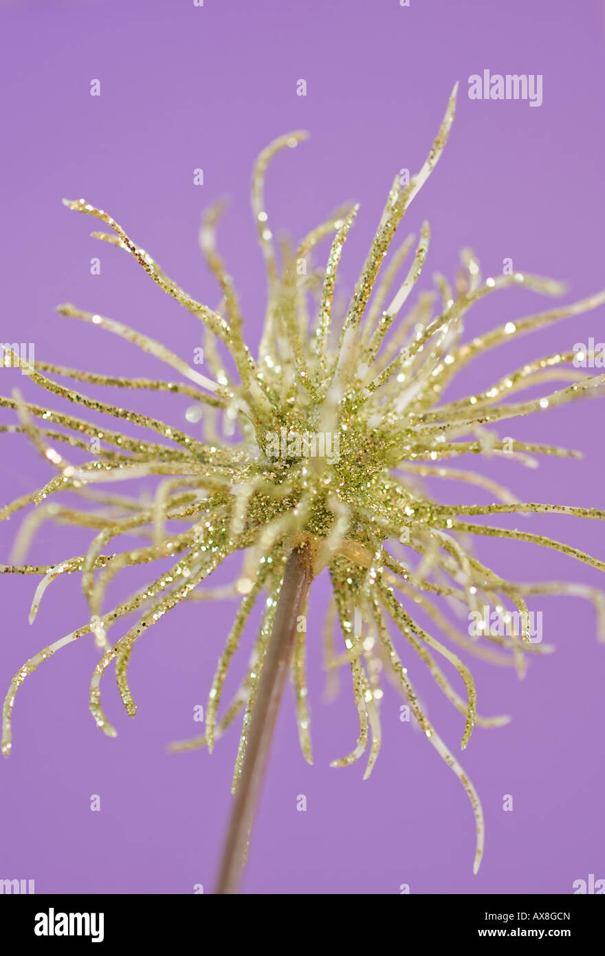 Artificial green Chrysanthemum flower covered with glitter Stock Photo