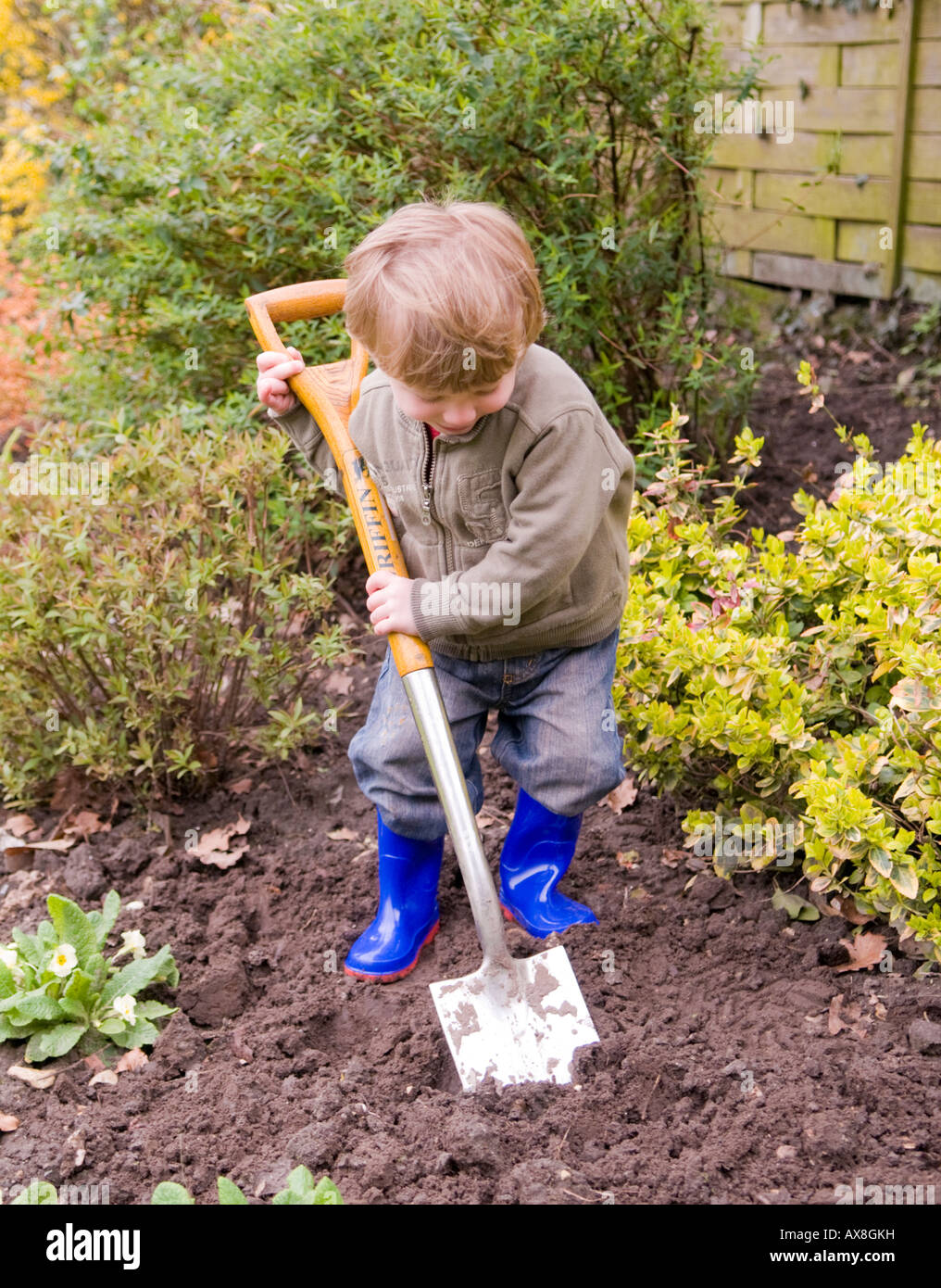 two year old boy digging in the garden. playing with soil Stock Photo ...