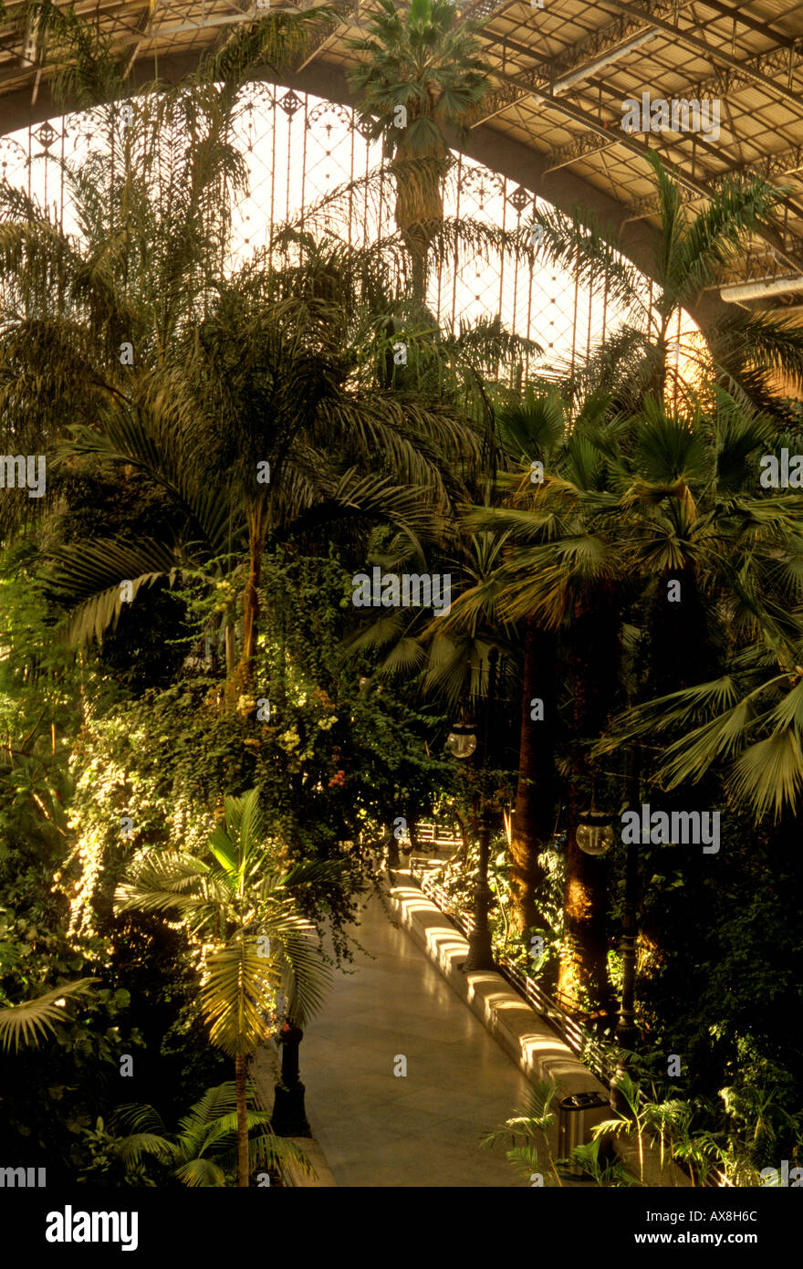 atrium, tropical garden, waiting area, central mall, Atocha Railway Station, Madrid, Madrid Province, Spain, Europe Stock Photo
