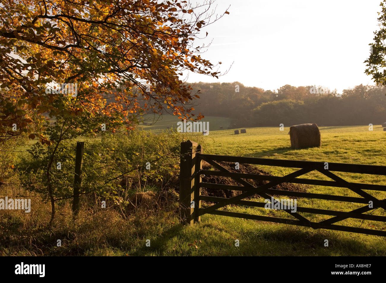 Rural scene near Royston Hertfordshire, England Stock Photo