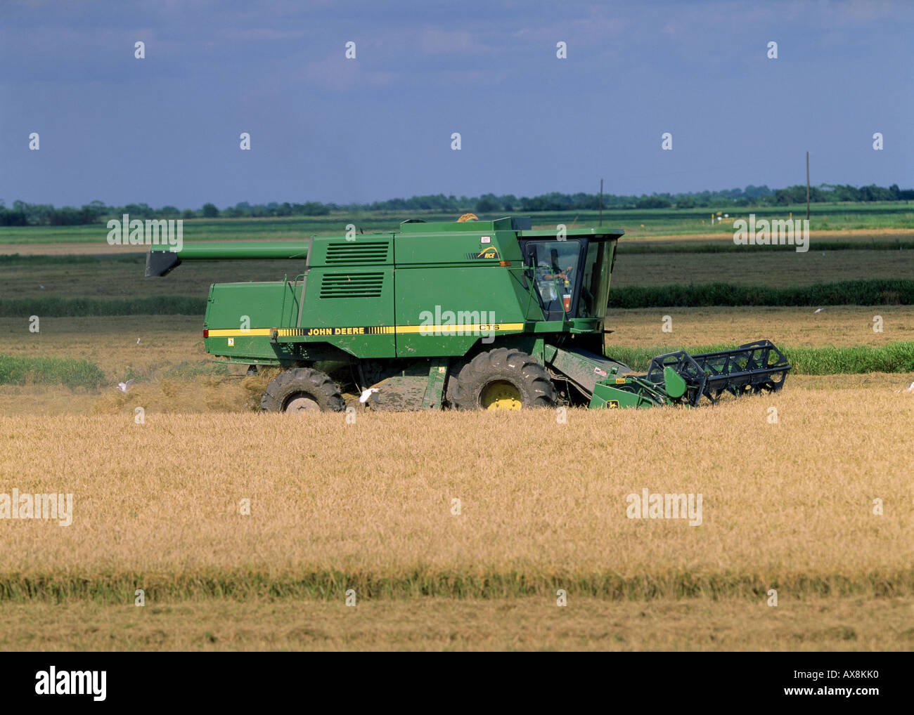 RICE HARVEST JOHN DEERE CTS COMBINE CROWLEY LOUISIANA Stock Photo 9580143 Alamy
