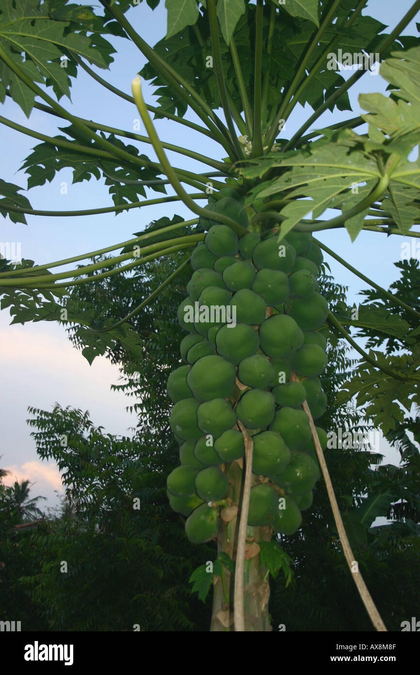 Davidcleaves hires stock photography and images Alamy