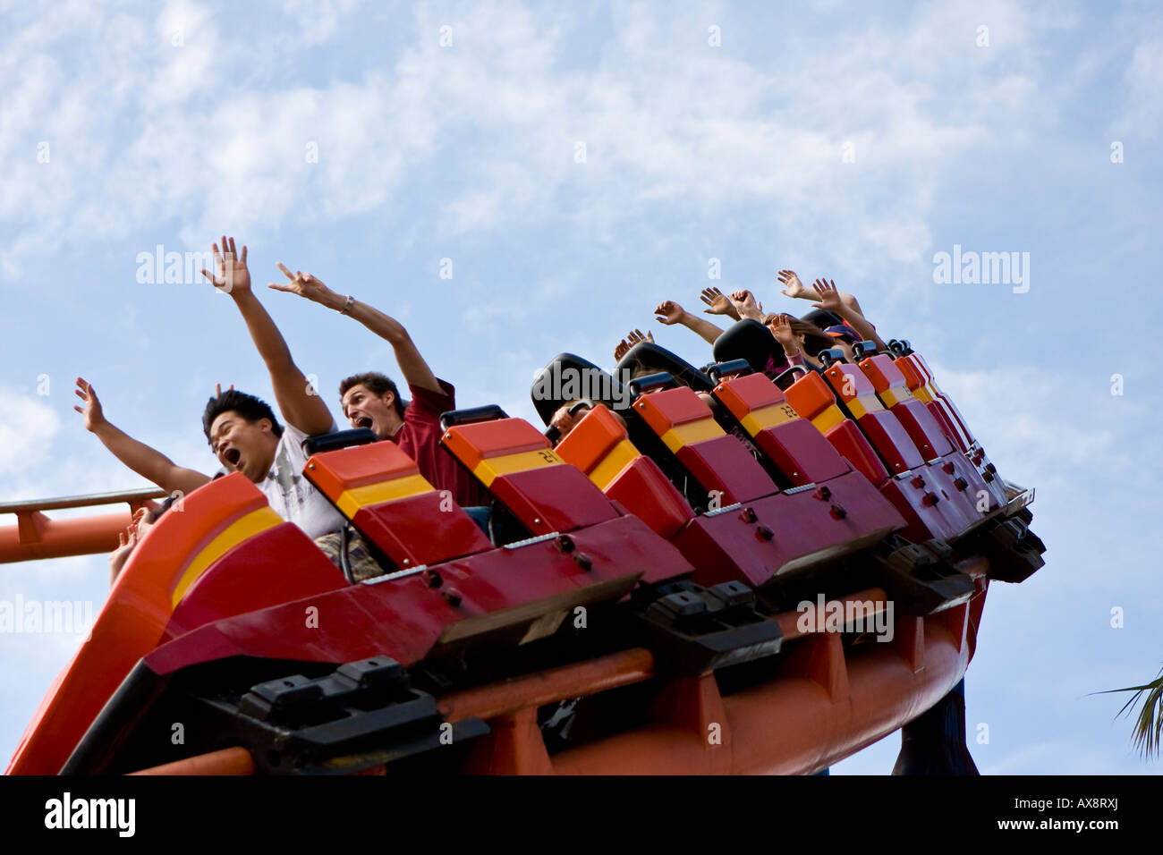 Scorpion Roller Coaster At Busch Gardens Tampa Florida Usa Fl U S