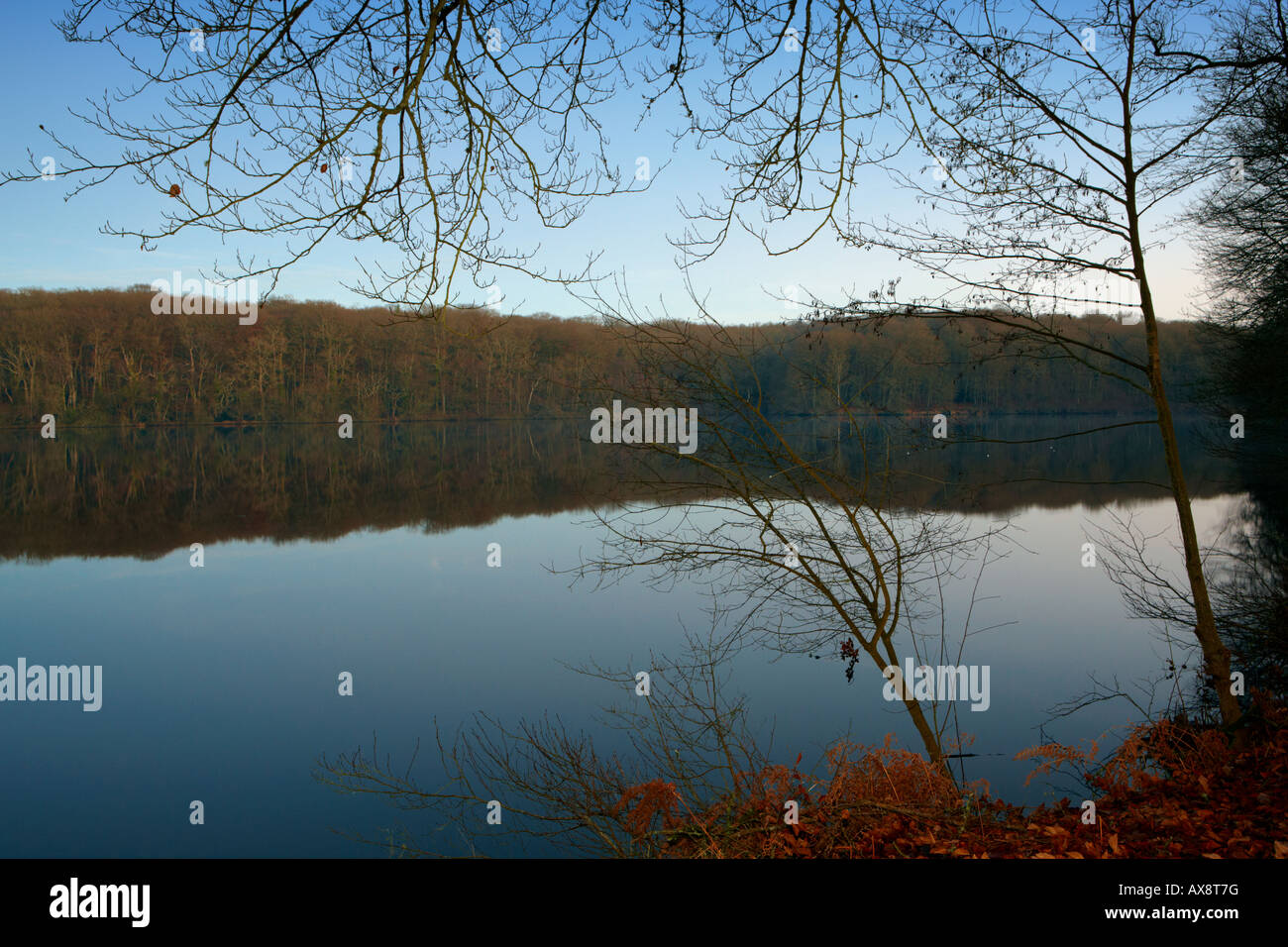 Morning sky view hi-res stock photography and images - Alamy