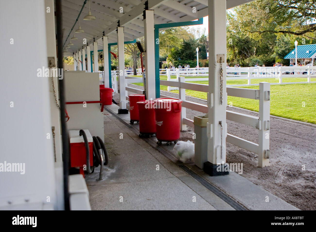 Stables Clydesdale Stock Photos Stables Clydesdale Stock Images