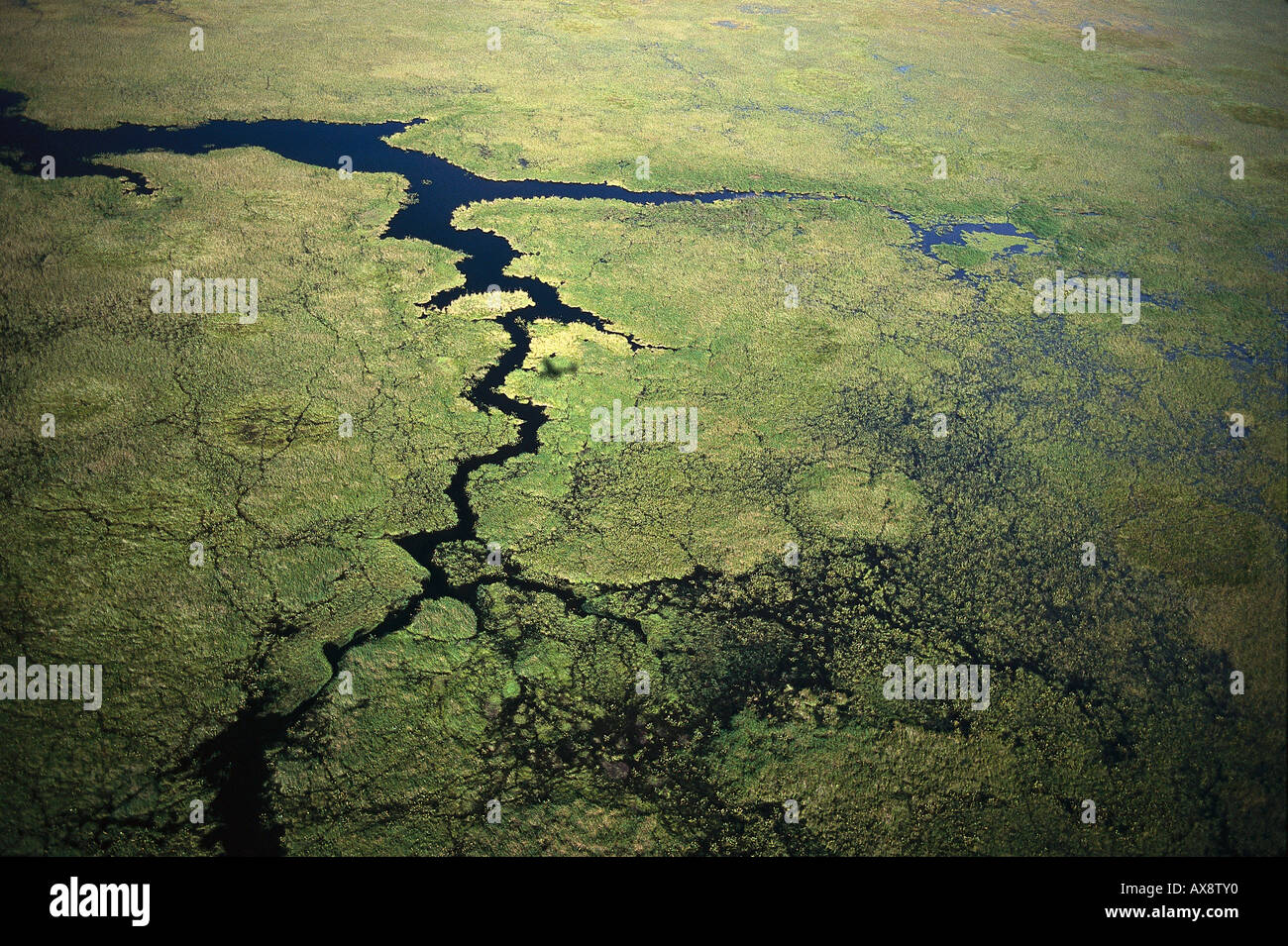 Aerial View Esteros Del Iber Iber Wetlands Rio Paran Stock