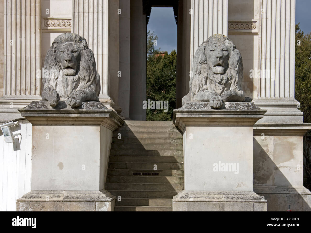 Lions outside the Fitzwilliam museum.Cambridge. Cambridgeshire. East Anglia. UK. Stock Photo