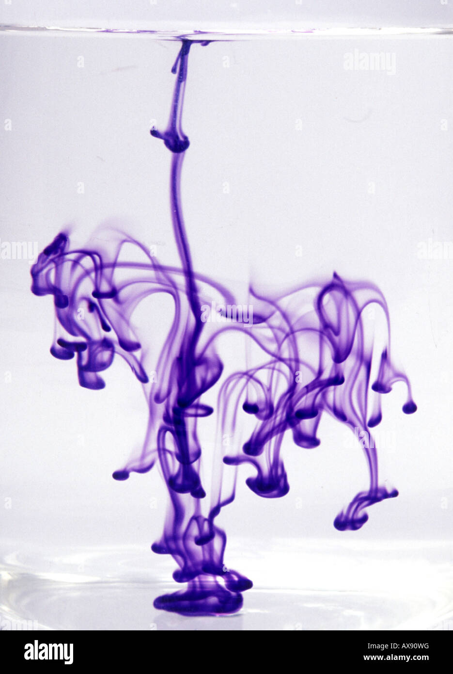 the pattern formed when a purple drop of water falls into a beaker of water Stock Photo
