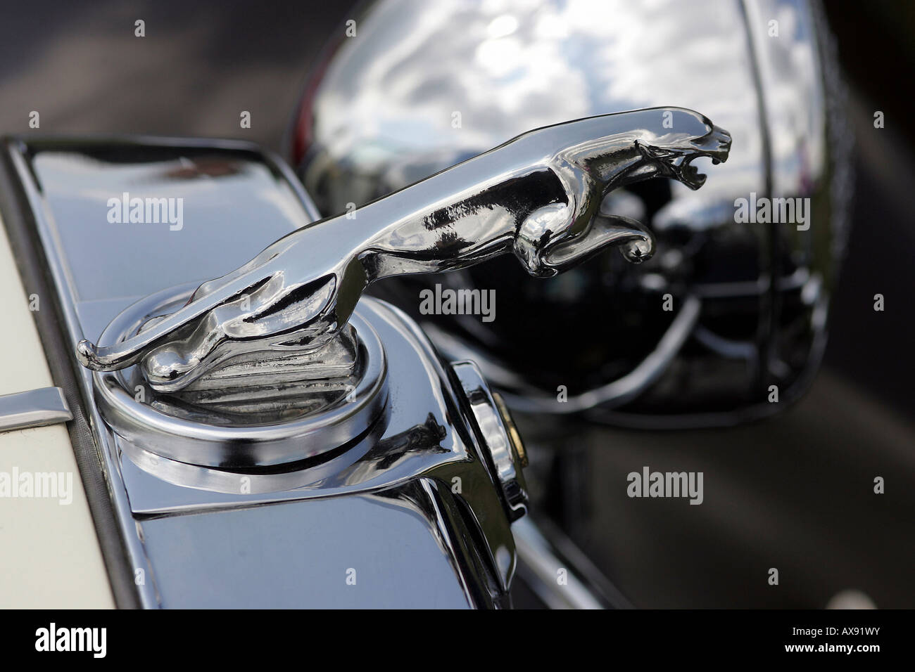 Jaguar hood ornament Stock Photo Alamy