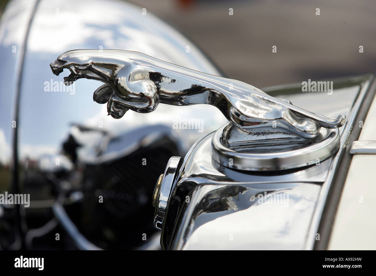 Jaguar hood ornament Stock Photo Alamy
