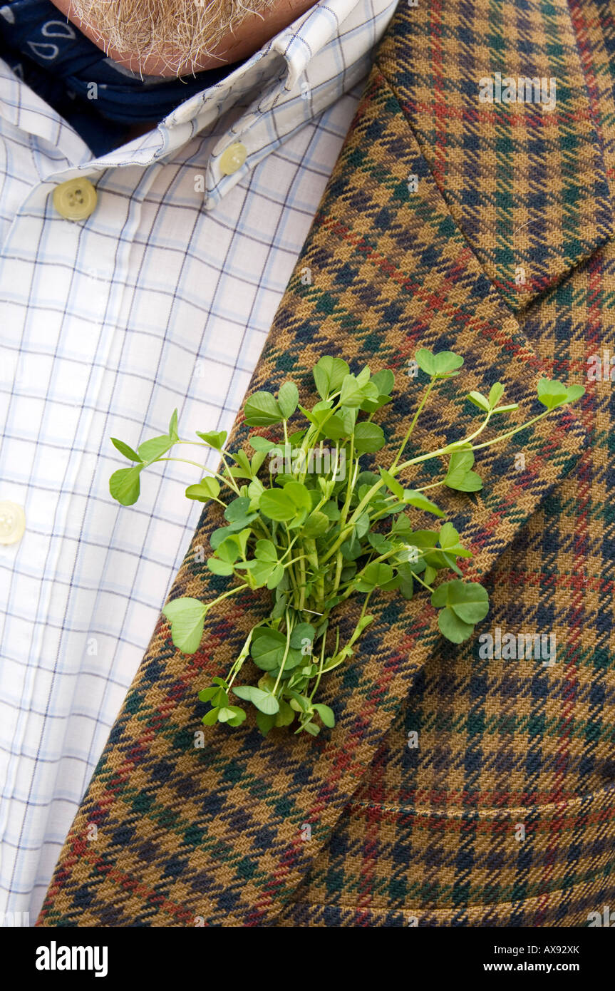 Shamrock, the emblem of St Patrick and Ireland, pinned to the lapel on St Patricks Day, March 17th Stock Photo