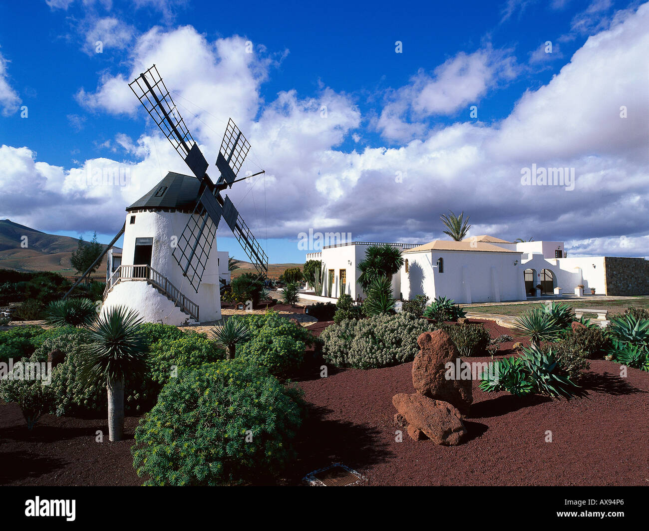 Windmill, Centro de Artesania, Antigua Fuerteventura Canary Islands, Spain Stock Photo