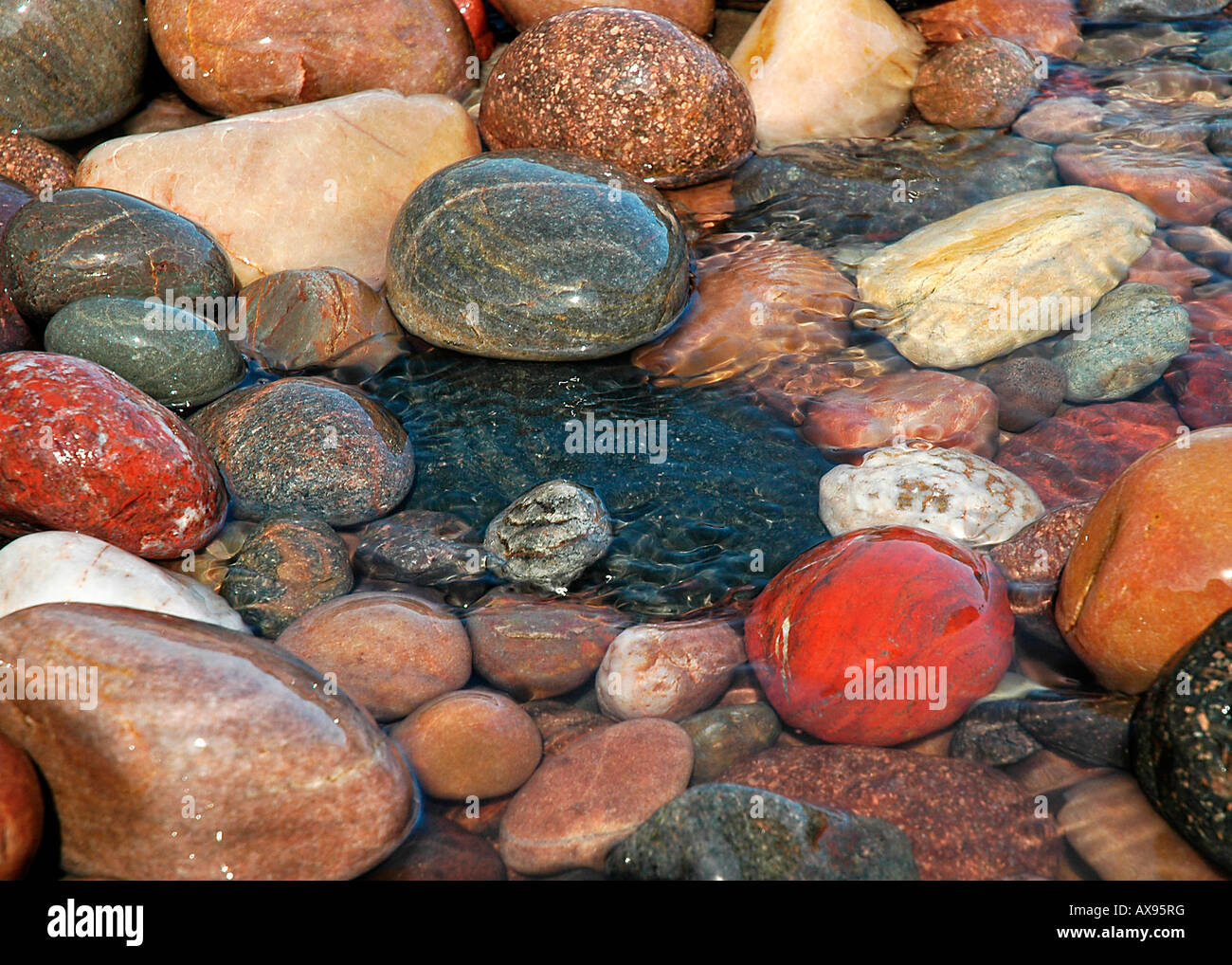 Wet coastal pebbels. Stock Photo