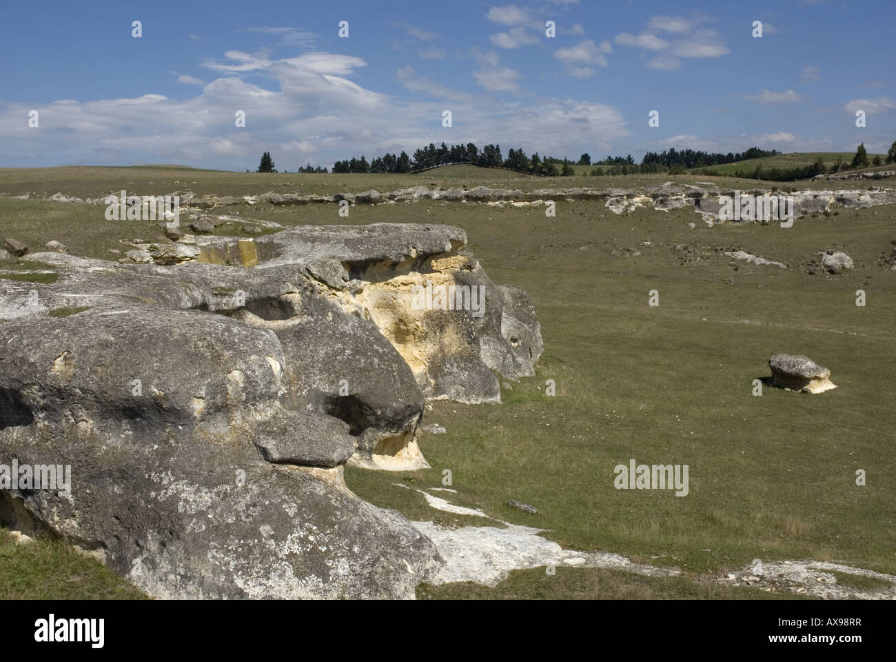 The weird landscape at Elephant Rocks, North Otago in the South Island of New Zealand Stock Photo