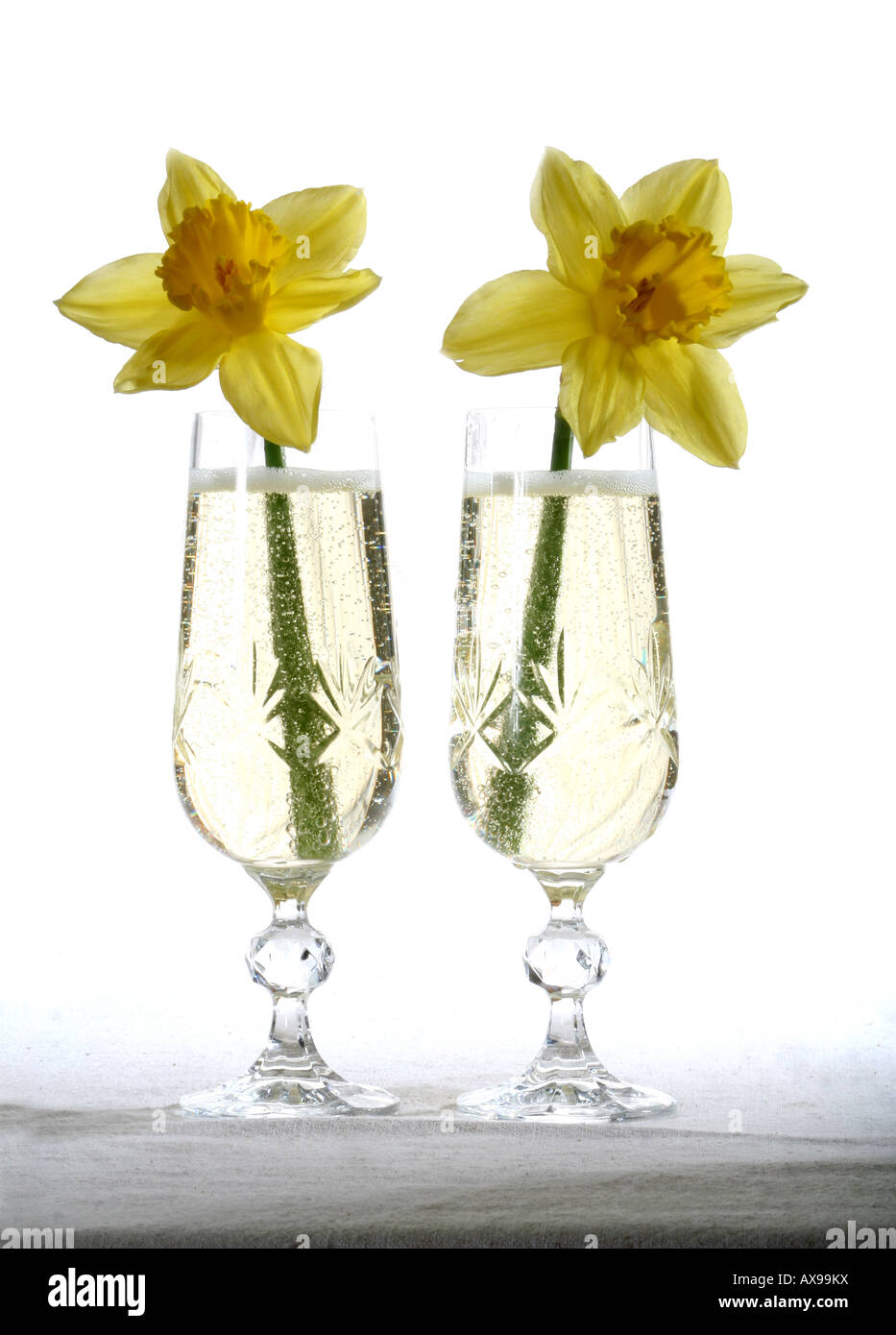 Glasses of Champagne and daffodils Stock Photo
