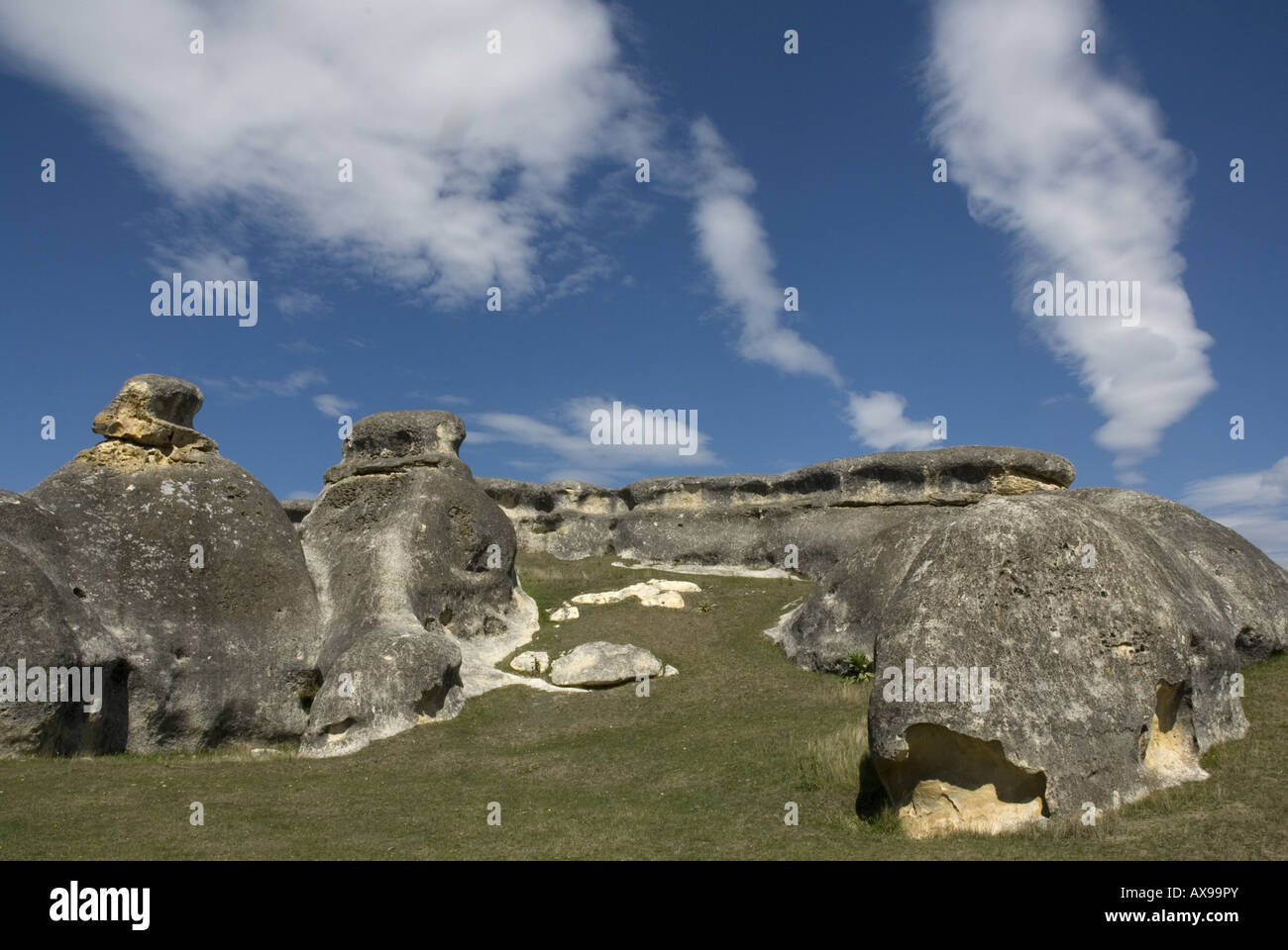 The weird landscape at Elephant Rocks, North Otago in the South Island of New Zealand Stock Photo