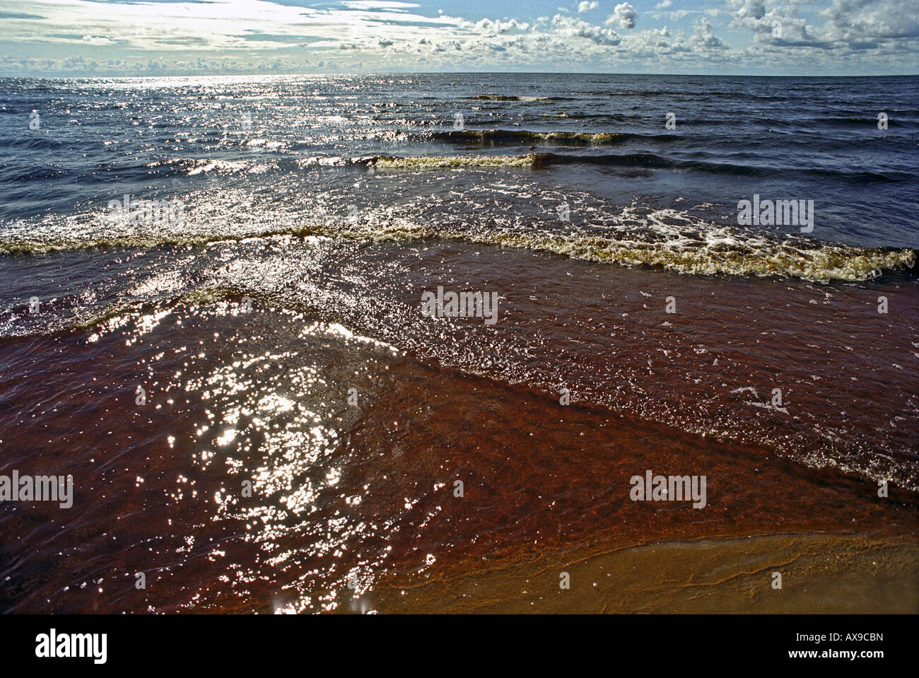 Lake Peipus shining in the sun, Estonia Stock Photo