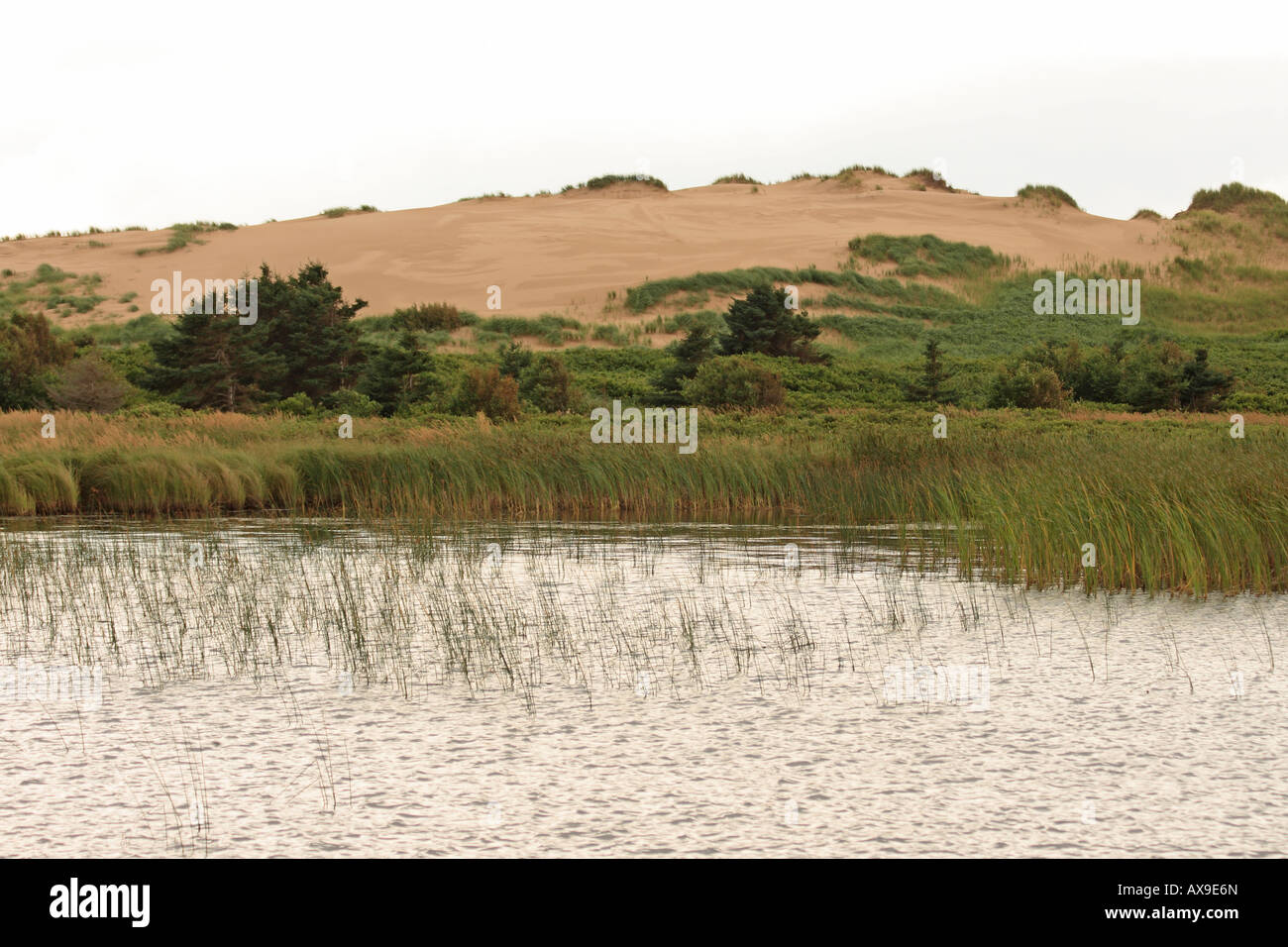 parabolic sand dune greenwich pei prince edward island canada Stock Photo