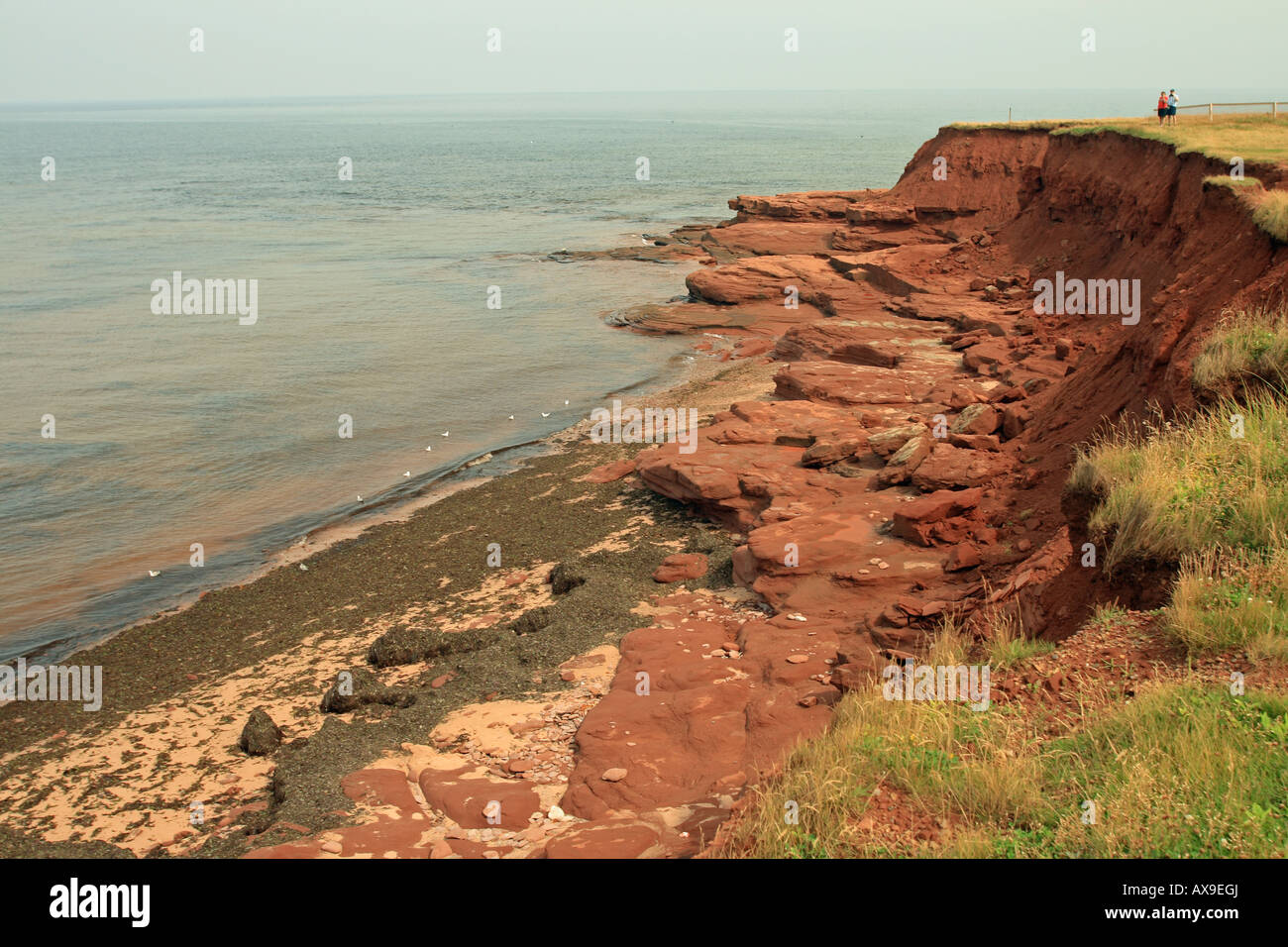 Red sandstone cliffs at Orby Head near Cavendish, PEI, Prince Edward Island, Canada Stock Photo