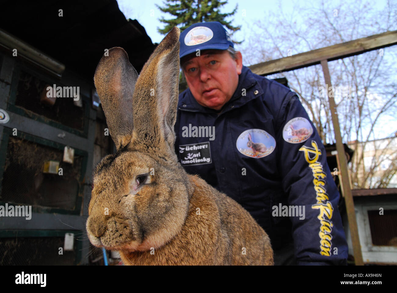 German rabbit breeder Karl Szmolinsky with one of his giant rabbits