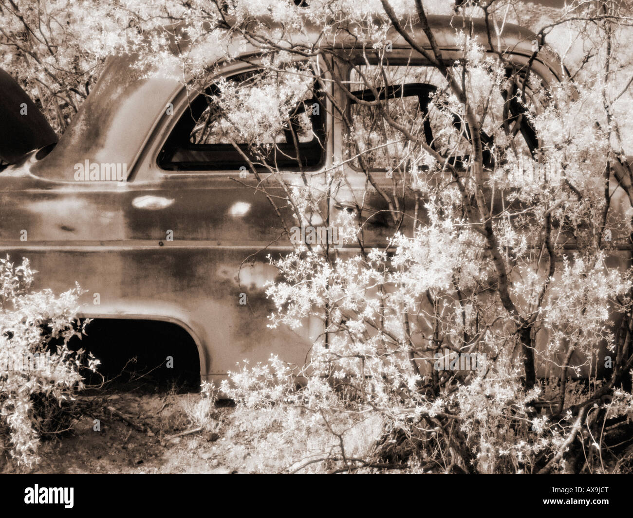 Abandoned car hi-res stock photography and images - Alamy