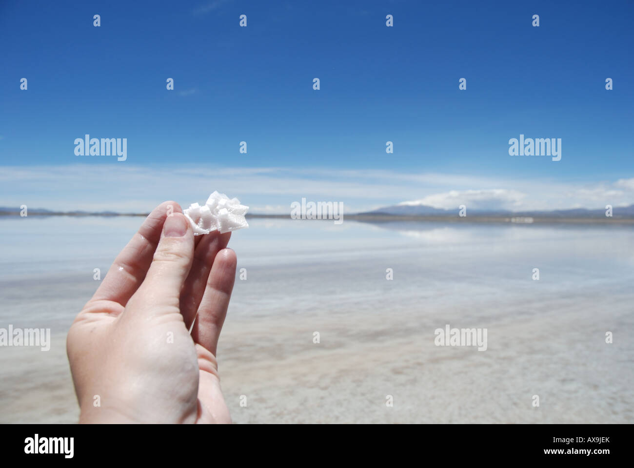 Salt Crystal at the Salar de Uyuni, Bolivia Stock Photo
