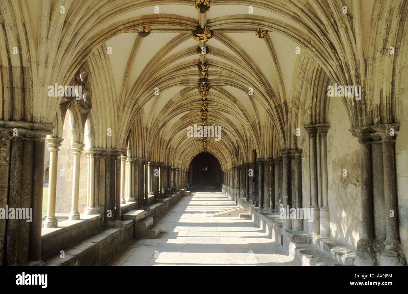 Norwich Cathedral Cloisters Medieval architecture vaulting roof vault ribbed arch arches arcade Norfolk England UK English Stock Photo