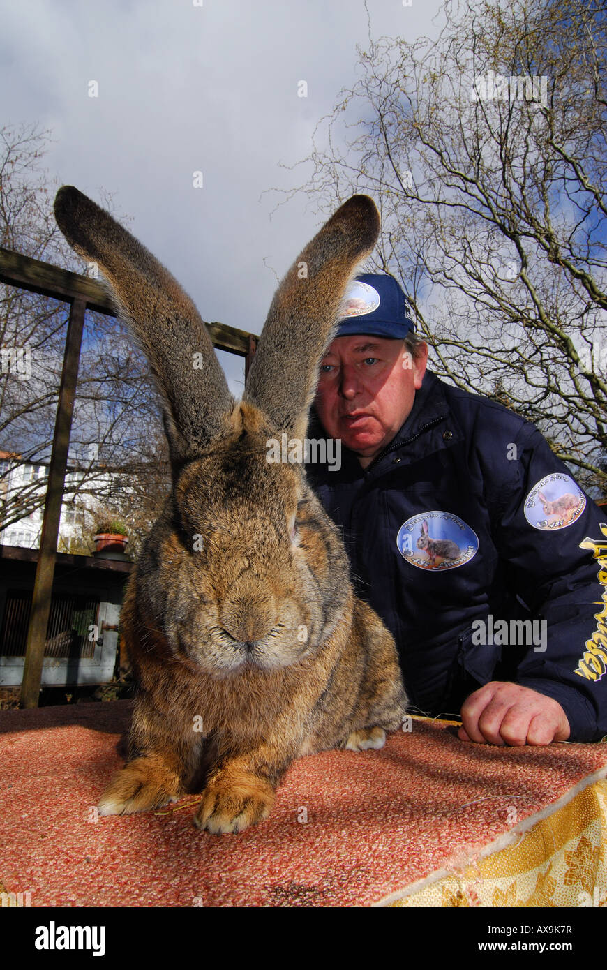 German rabbit breeder karl szmolinsky hires stock photography and