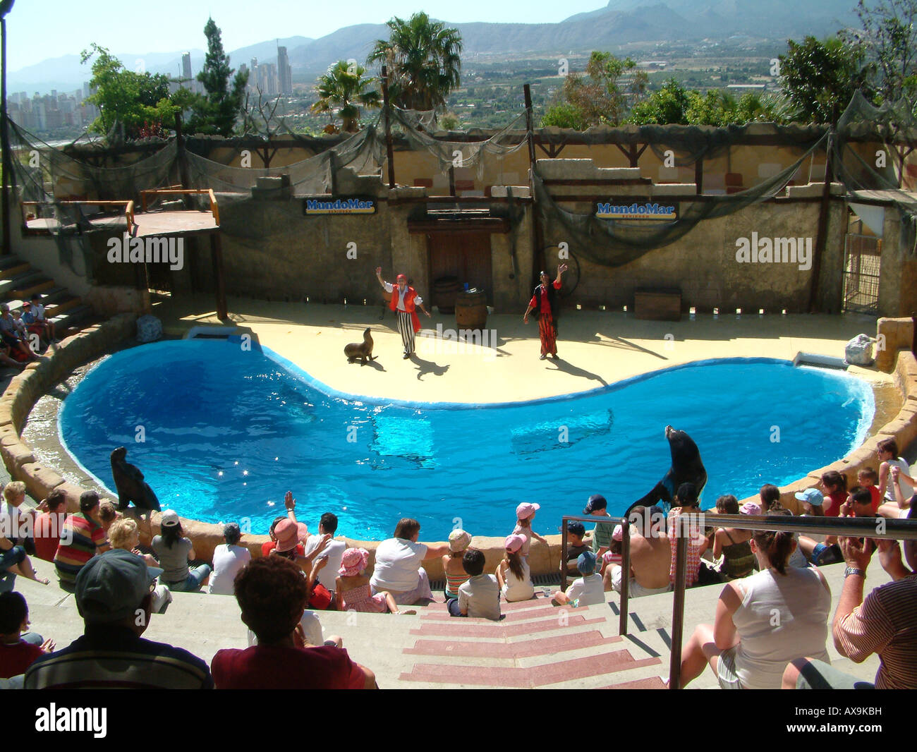 Seal Show, Mundomar, Benidorm, Alicante Province, Spain Stock Photo - Alamy