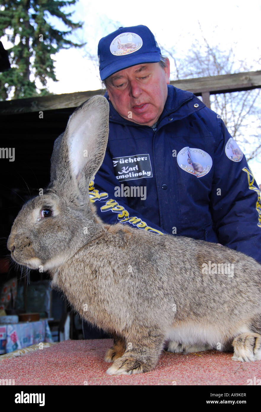 German rabbit breeder Karl Szmolinsky with one of his giant rabbits