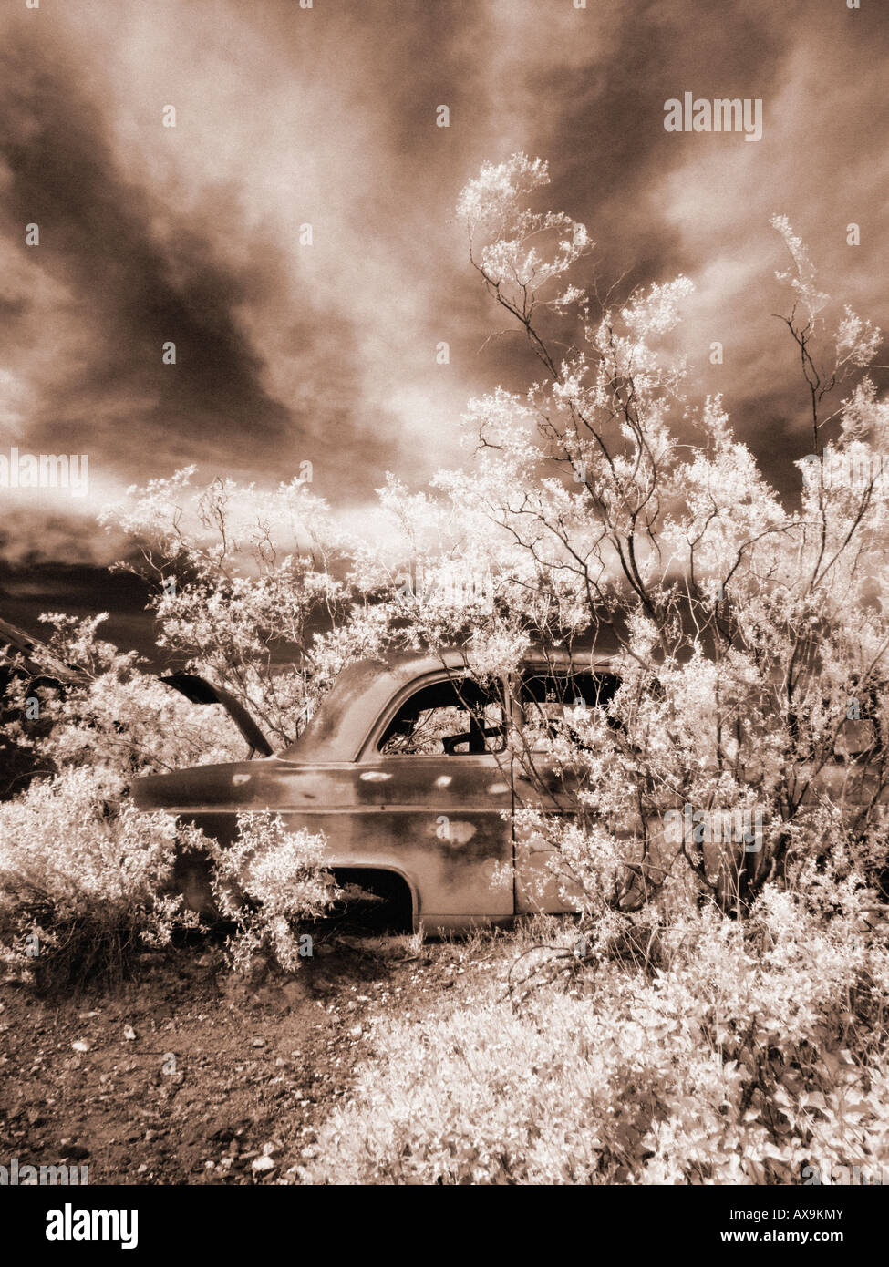 Abandoned car hi-res stock photography and images - Alamy