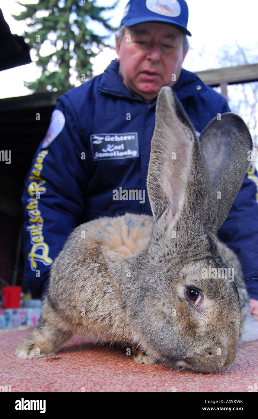 German rabbit breeder Karl Szmolinsky with one of his giant rabbits