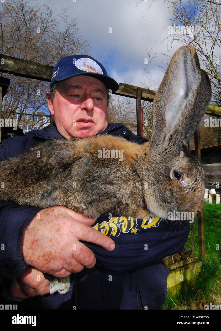 German rabbit breeder Karl Szmolinsky with one of his giant rabbits
