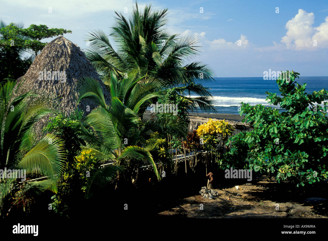 Pavilion and palm tree on the beach, Playa Hermosa, Jaco, Costa Rica, Central America, America Stock Photo