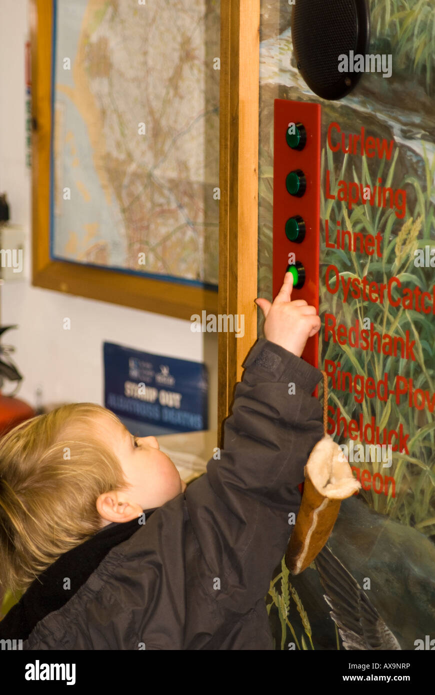 Child boy nature exhibit Stock Photo