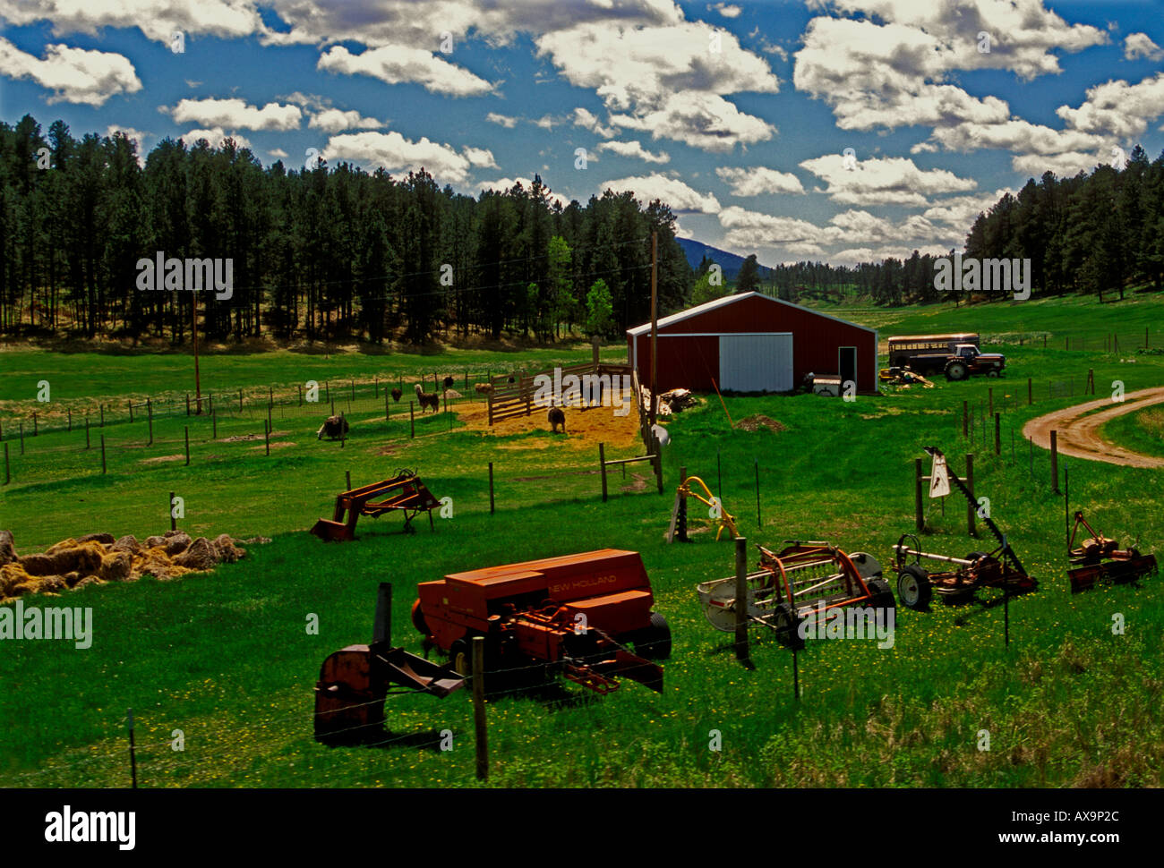 ranch, ranchland, farm, farmland, farmstead between Hill City and Keystone, Black Hills, South Dakota, United States Stock Photo