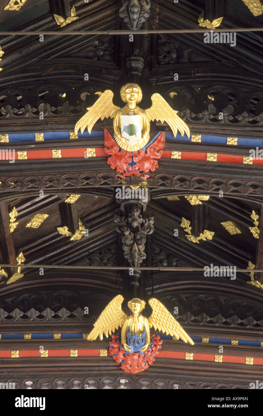 Taunton St Mary Magdalene Church gold painted angels timber beam roof Somerset England UK Medieval carving architecture heraldry Stock Photo