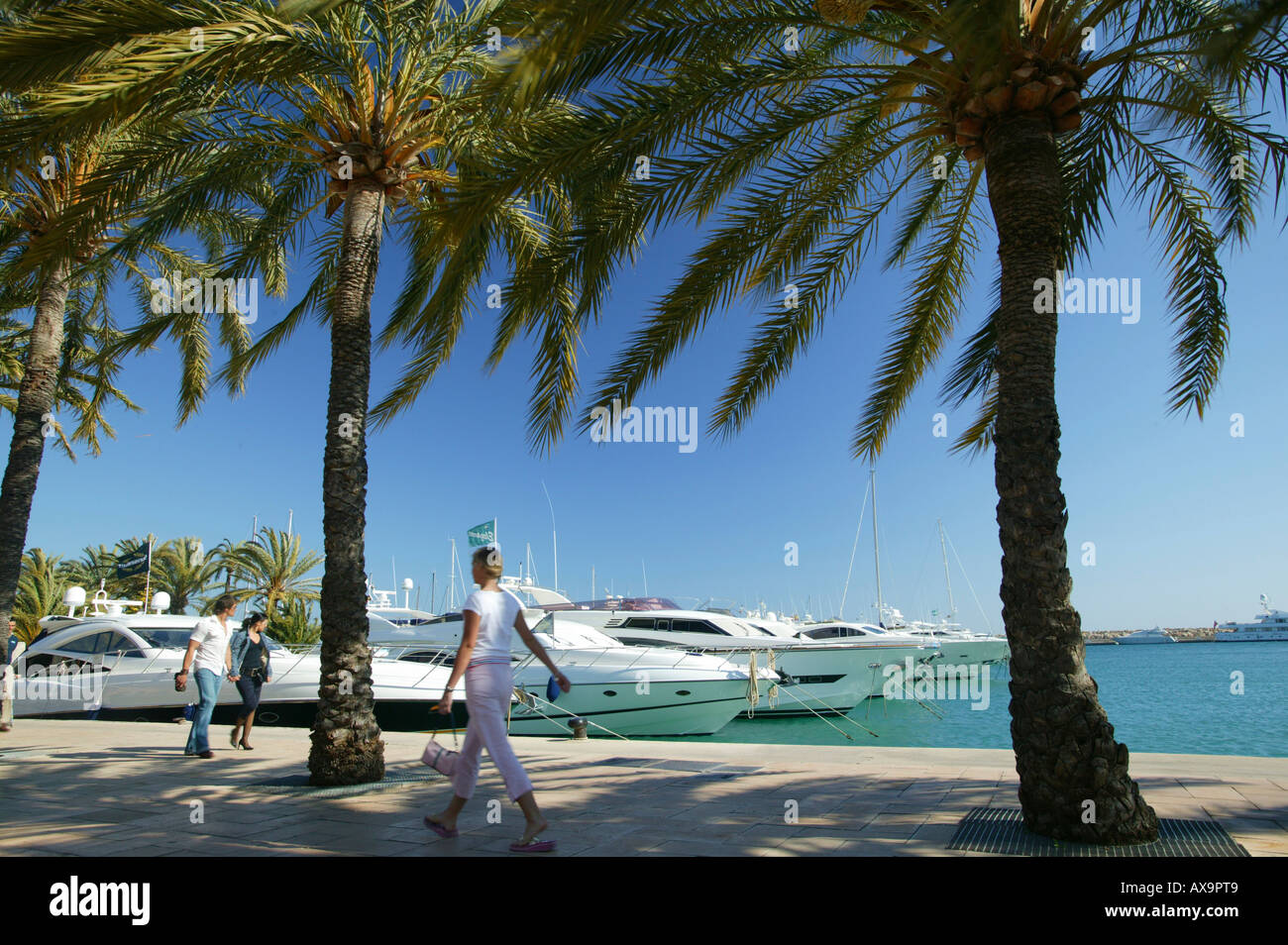 Yachts in Puerto Portals harbour, Majorca, Balearic Islands, Spain Stock Photo