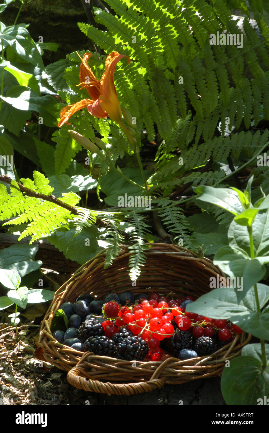 Soft Fruits - Frutti di bosco Stock Photo
