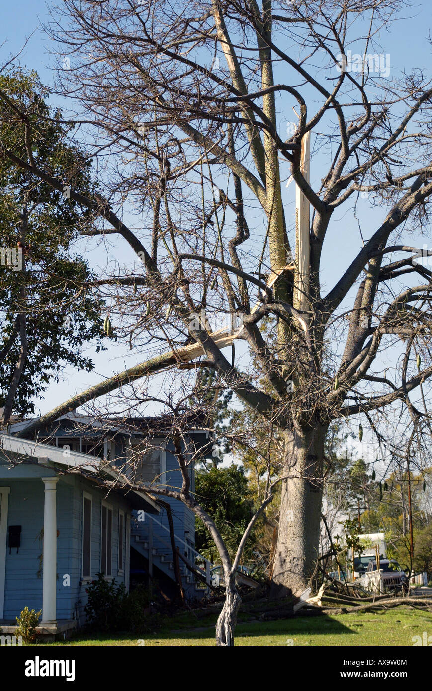 California utility poles and power lines hi-res stock photography and ...