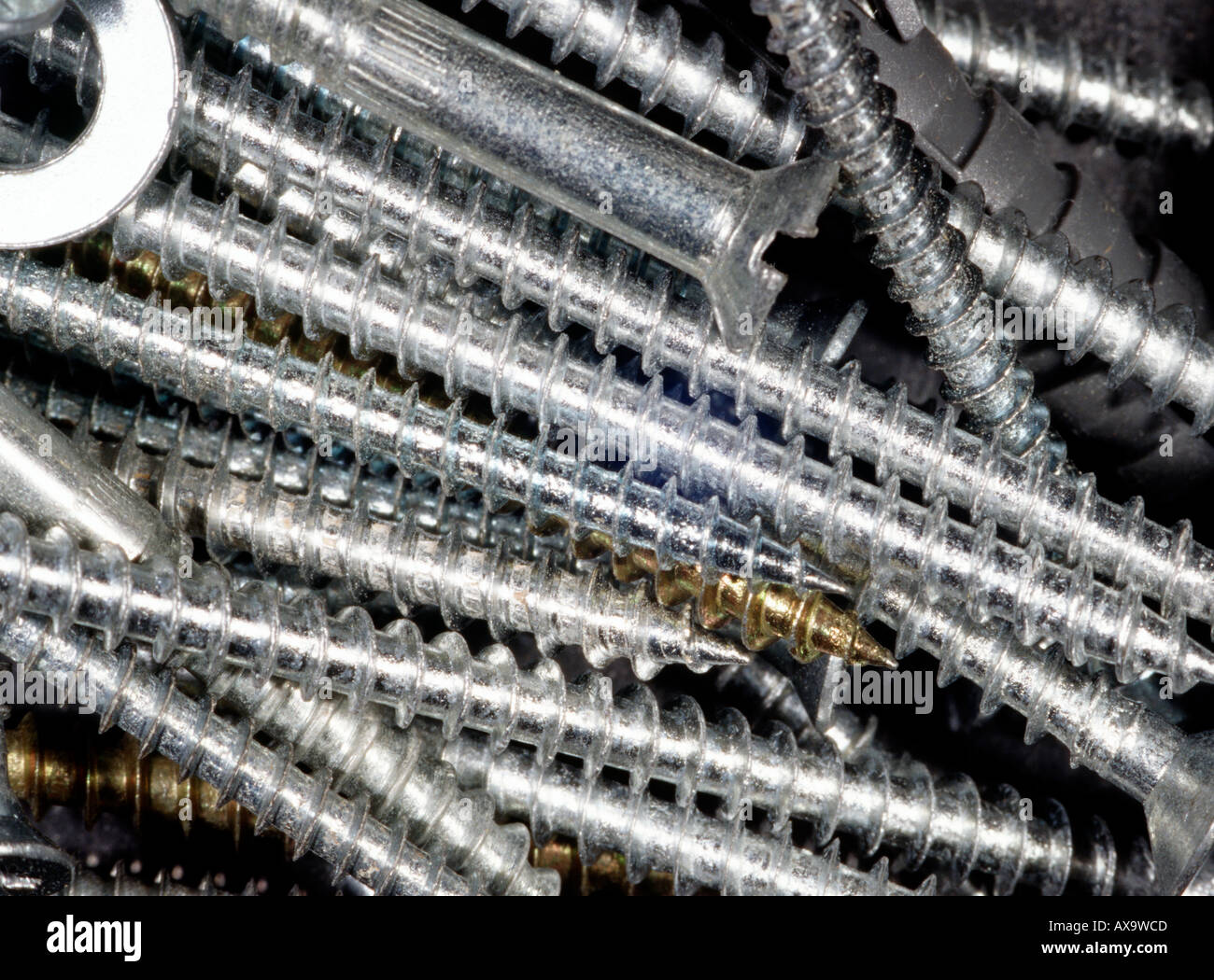 Close Up Steel Screws Hi res Stock Photography And Images Alamy Close Up Steel Screws Hi res Stock Photography And Images Alamy