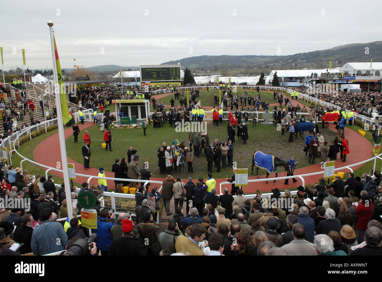 The winners enclosure on Gold Cup day at Prestbury Racecourse during