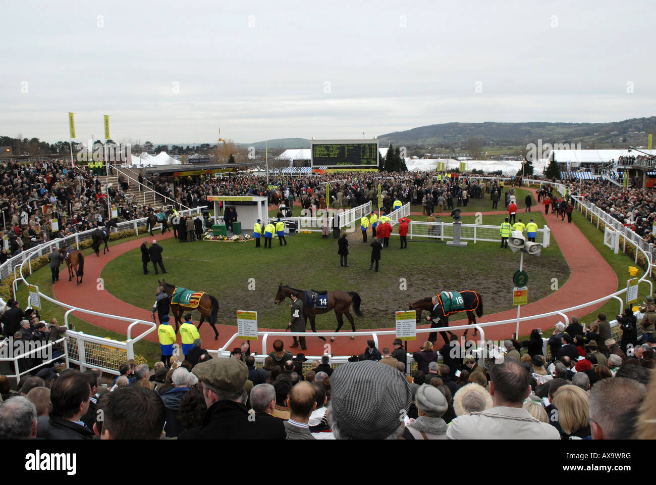 The runners and riders in the parade ring on Gold Cup day at Prestbury Racecourse during the Cheltenham National Hunt Festival Stock Photo