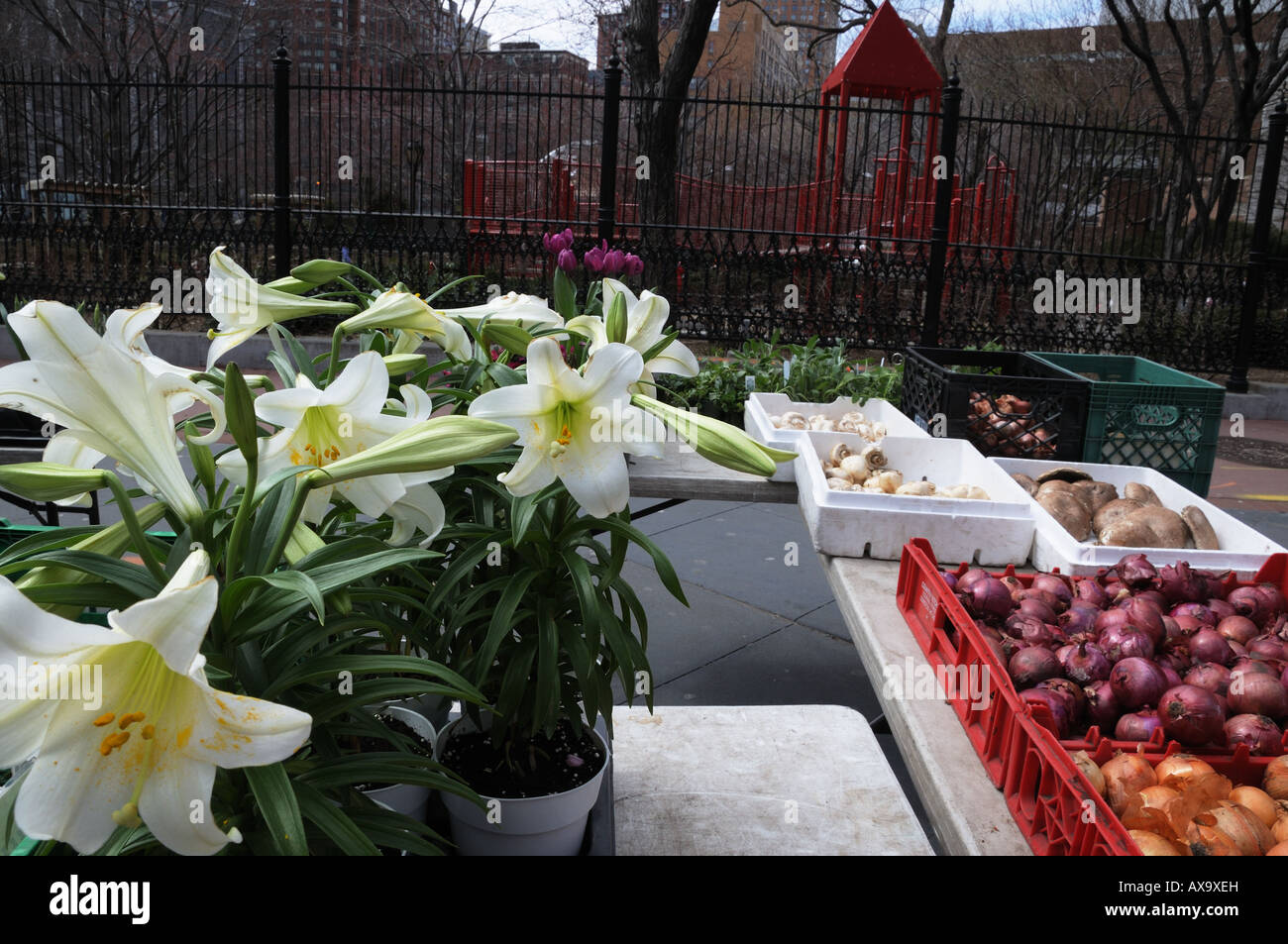 An outdoor farmers' market in Tribeca is across from Washington Market
